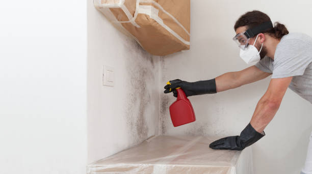 Professional Crawl Space Mold Removal technician working in Northvale, NJ