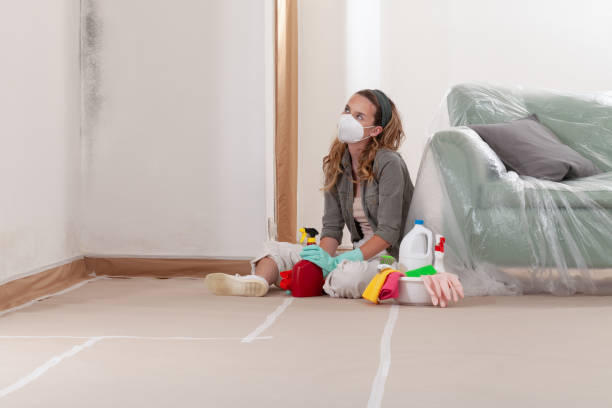 Reliable Crawl Space Mold Removal contractor in Northvale, NJ by WQB Mold Removal